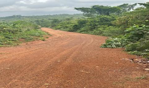 pepedan_road