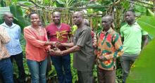 cocoa_seedlings